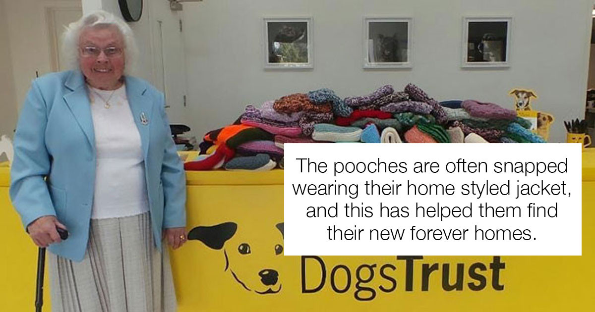 Wholesome Grandma Spends Hours Knitting Blankets and Sweaters For