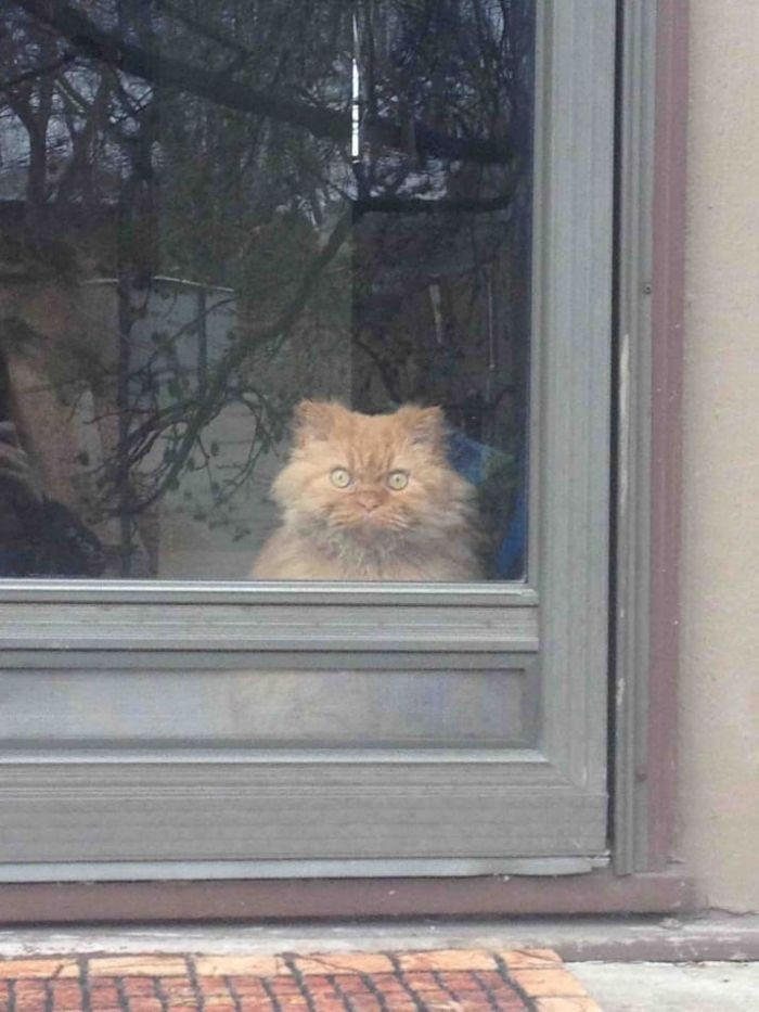 13. Reading body language and facial expressions is important.