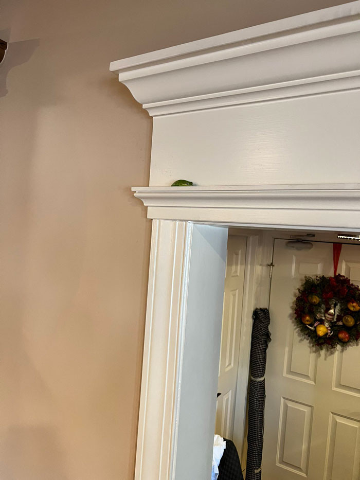 Tony Loves Escaping from the Small Space to Enjoy Lounging in a Bigger One