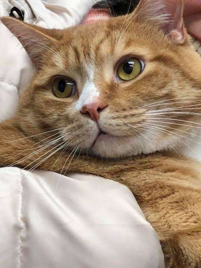 Jacque sitting beside family, calm demeanor emphasizing second chance hope