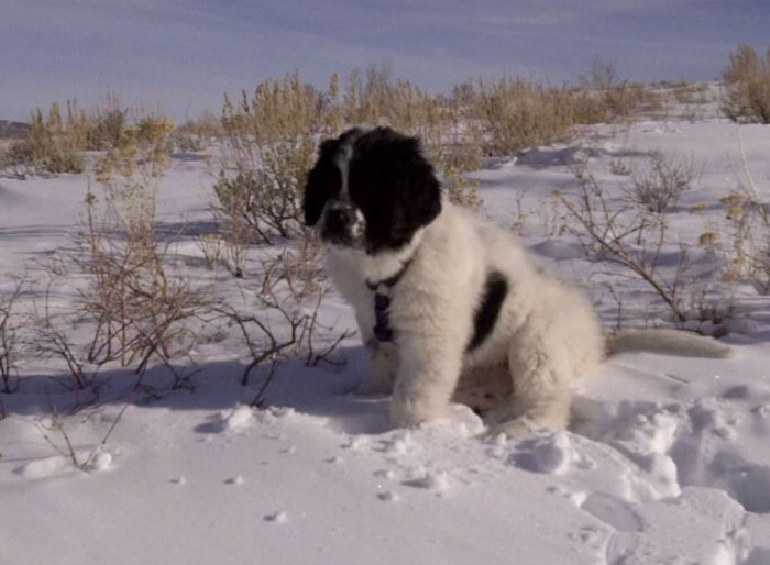 Love at the first sight.