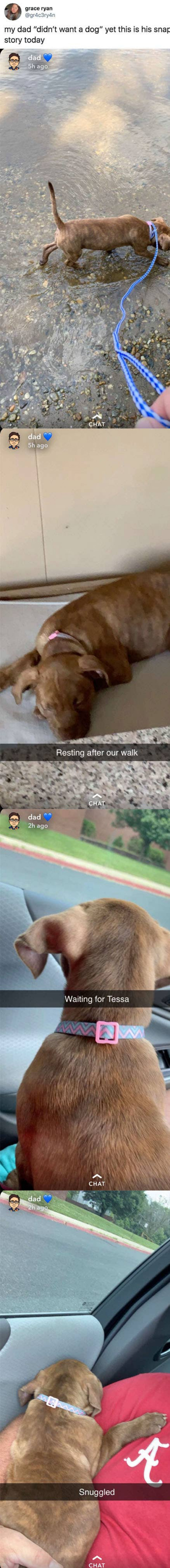 15. Most dads are just in denial.