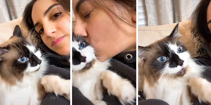 This cat didn't enjoy the surprise