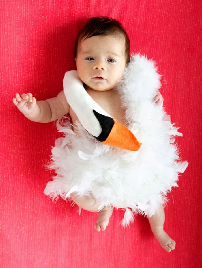 #30 My 7-Week-Old Baby Girl, Remy Sheehan, Dressed As Baby Bjork For Her First Halloween