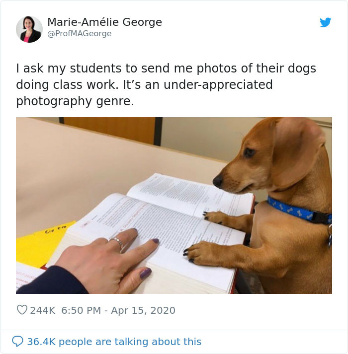 Here's the professor's original Tweet: