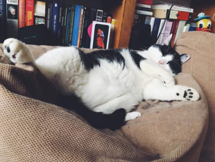 Such cute little beans!