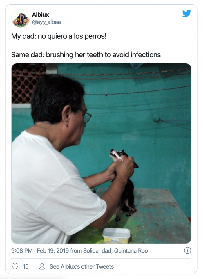 12. Let's wash those cute little teeth