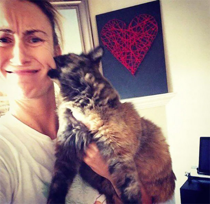 \#4 Even Cats Hate Selfies