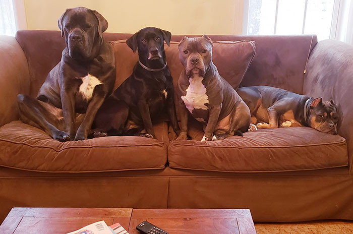 They're a beautiful family!