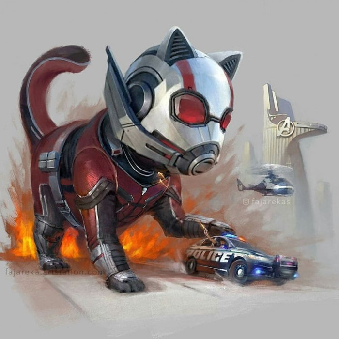 1. Ant-Cat