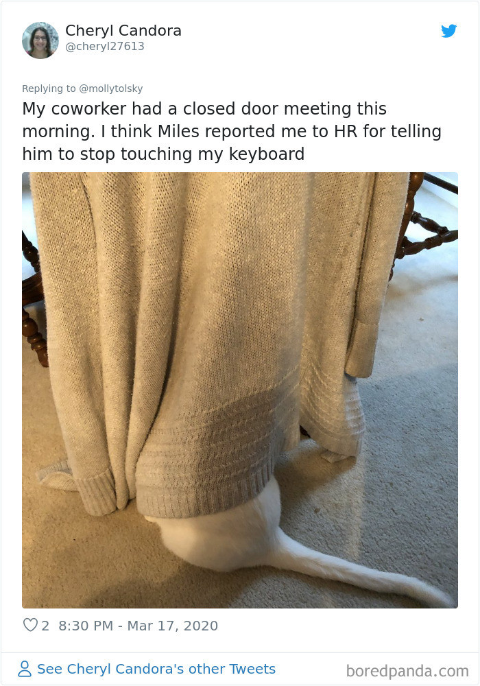 15. Reported!