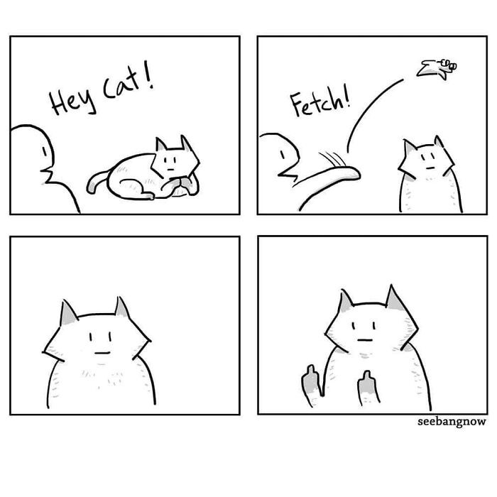Relatable Cat Life Purr-fectly Depicted In These Cat Comics