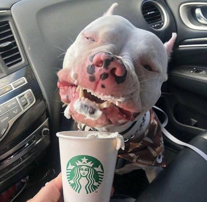 When it tastes SO good.