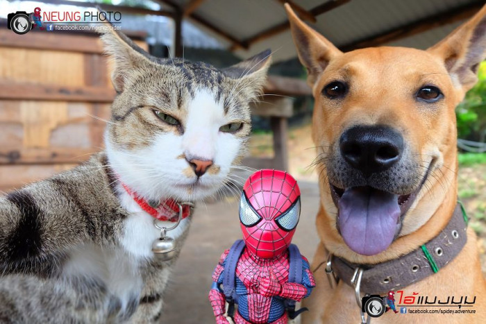 6. But first, a selfie.