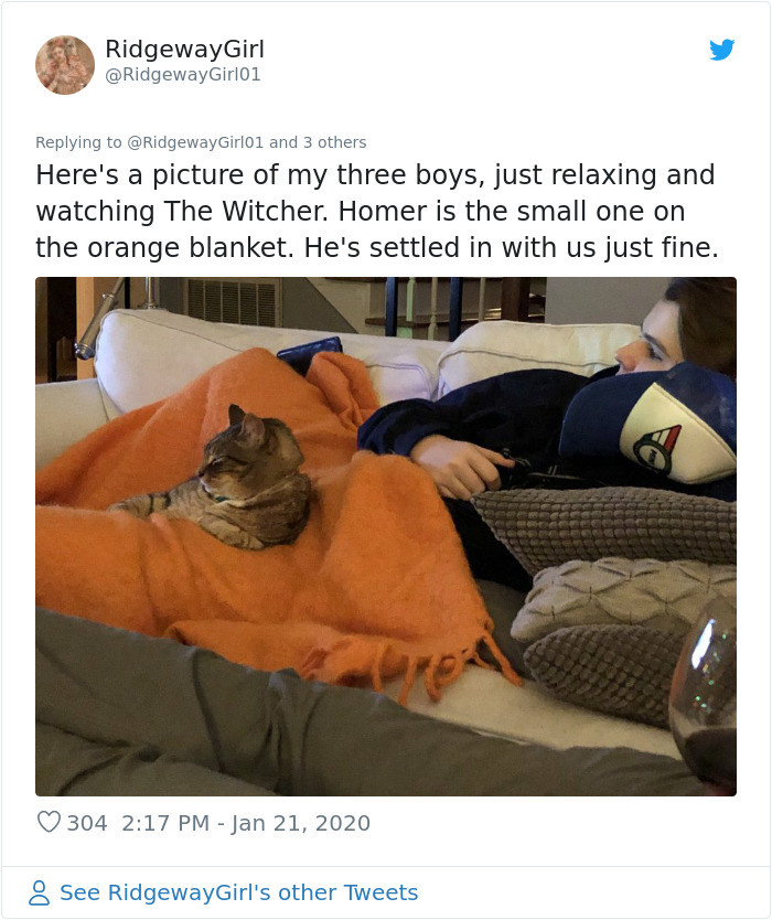 Plus pictures, glorious cat pictures.