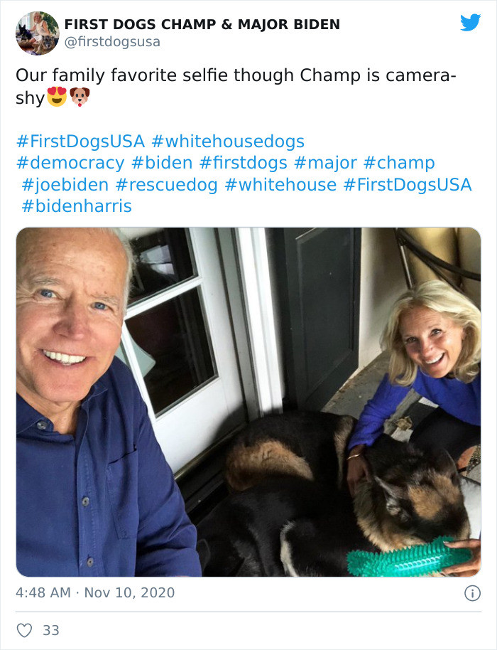 It's practically a presidential standard for the POTUS to have a pet, but contrary to the norm, Donald Trump did not have a pet whatsoever.