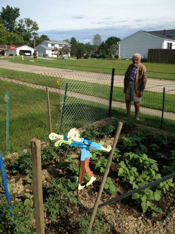 #21 I Tried Gesturing To My 93 Year Old Non-english Speaking Neighbor To Get A Scarecrow, The Next Day He Put This Up