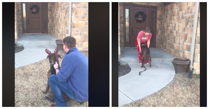 Family members pose with a shelter dog during a surprise adoption visit