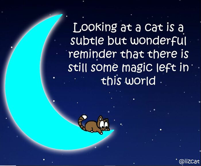 #19 Cats are magical creatures.
