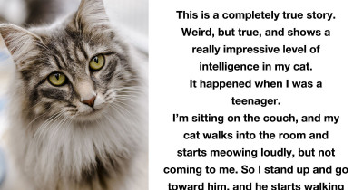 10+ Pet Owners On The Smartest Thing Their Pets Have Ever Done