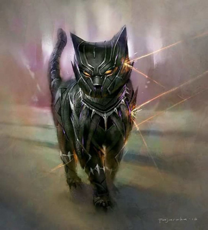 5. Black-Kitteh