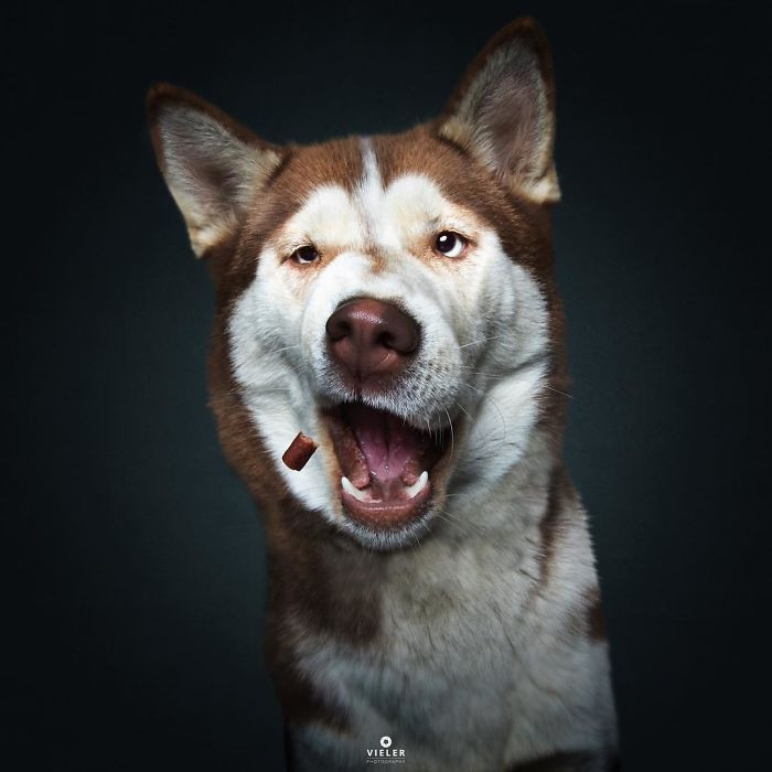 4. He doesn't like it.