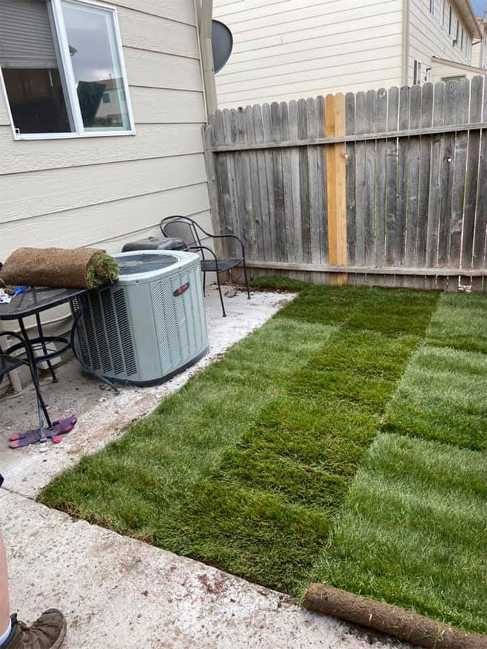 And then the luscious sod grass.