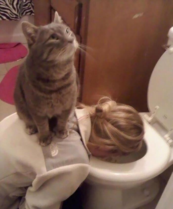15. “I got your back, hooman.”