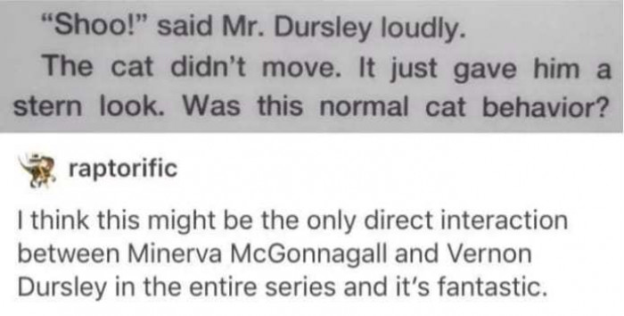 I love the idea of Professor McGonagall judging everyone silently before they discover she can turn into a cat.