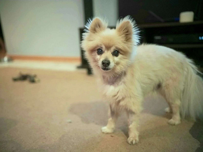 Chuck Posing for a Picture