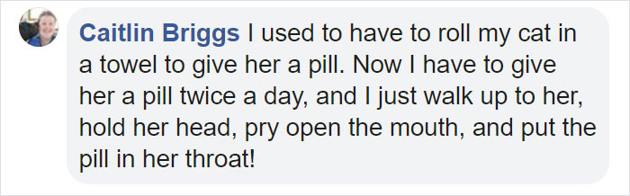 In response to Nick's guide, people shared their own experiences on social media of administering pills to their 'fur demons.'