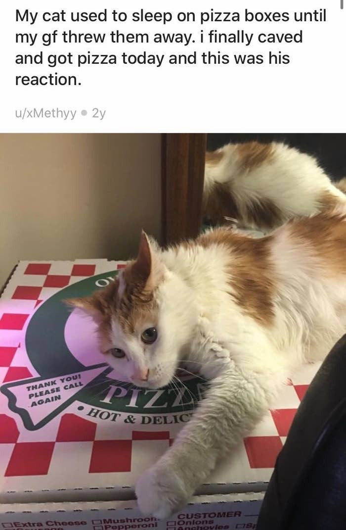 13. Pizza, I missed you.