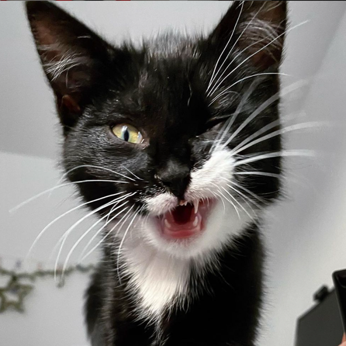 His Irresistible Wink