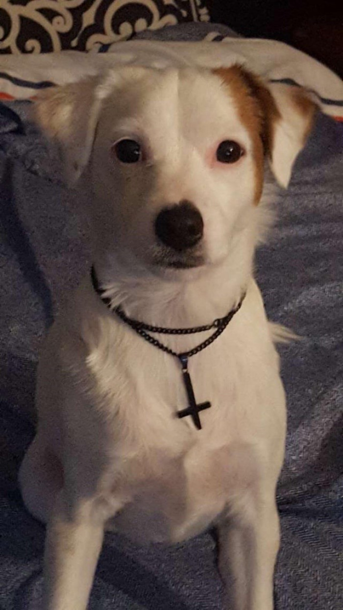 17. “My girlfriend of 3 years came with a package deal; meet Mesha.”