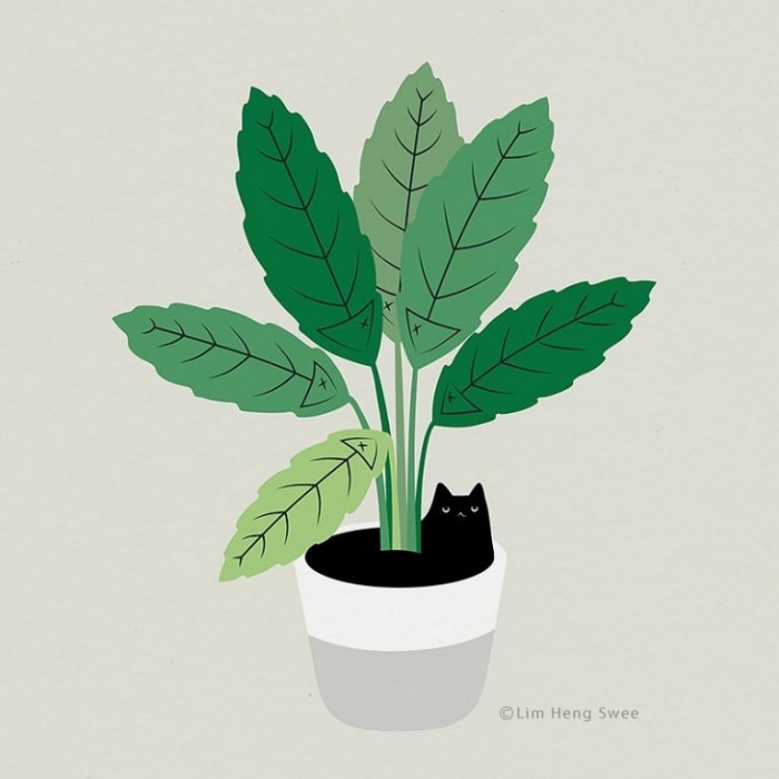 Cat hugging a green leaf, playful fusion of feline and plant