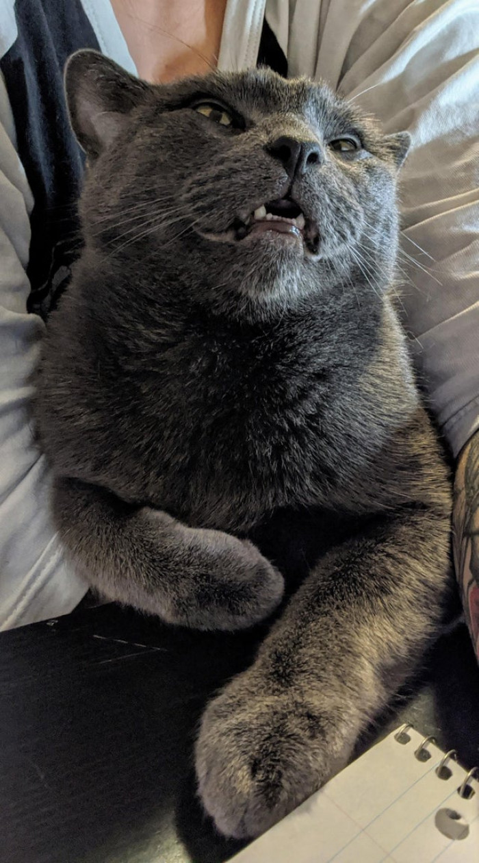 12. "Did you get my good side?"