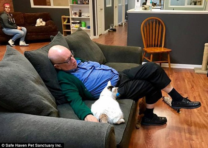 3. Snoozing on the job? Yes, please!