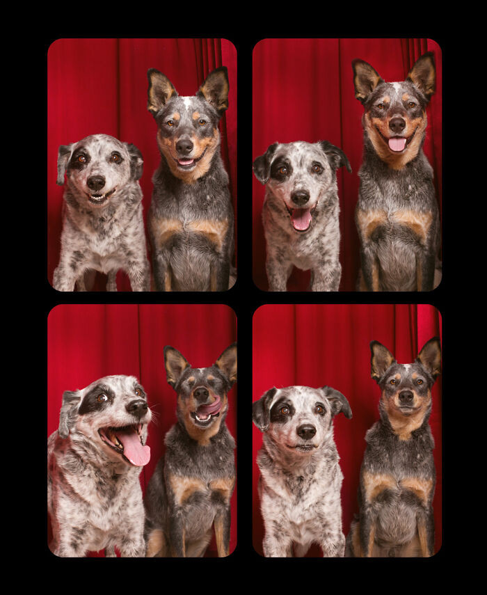 1. Happy Duo