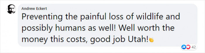 Well worth the money!