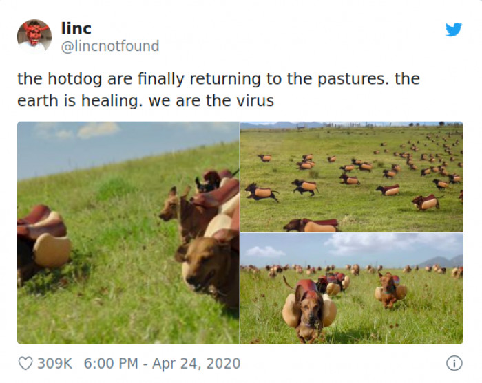 17. Isn't nature amazing?