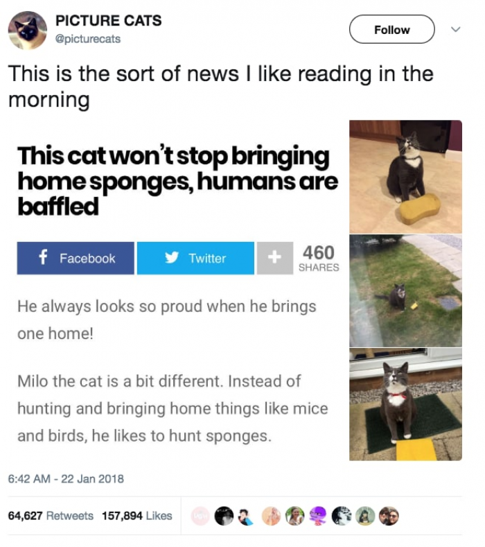 16. Happy stories make us happy.