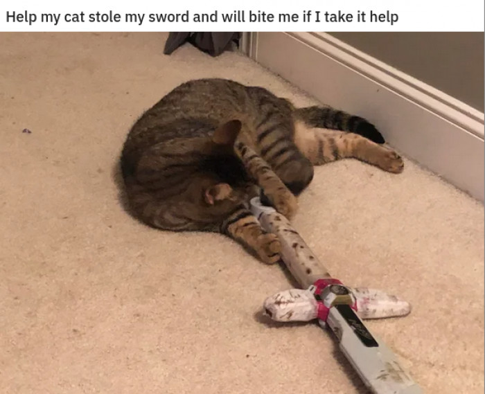 13. Can you think of anything more dangerous than a cat wielding a sword?