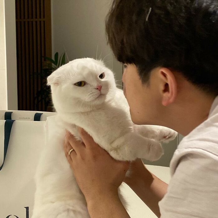He still looks so done, though!