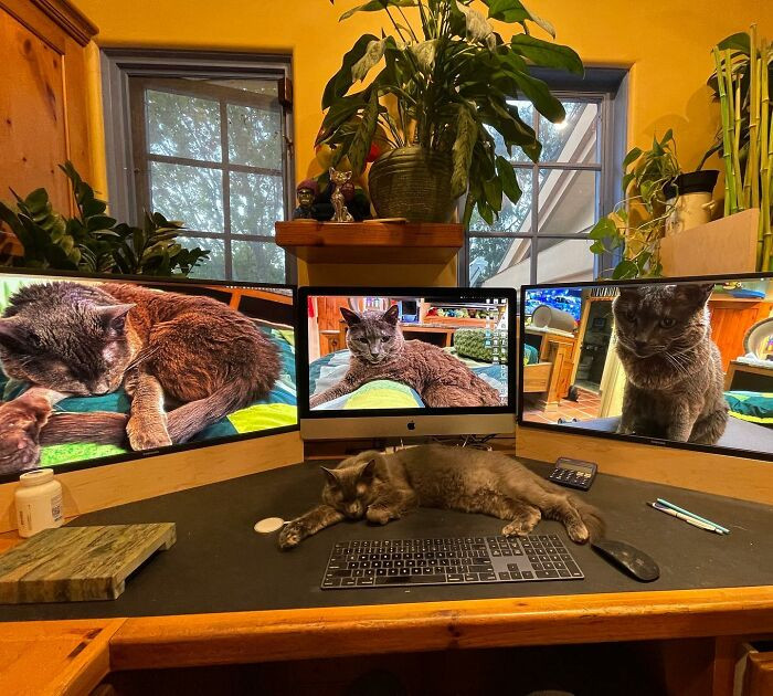 This is his workstation, matching the theme.