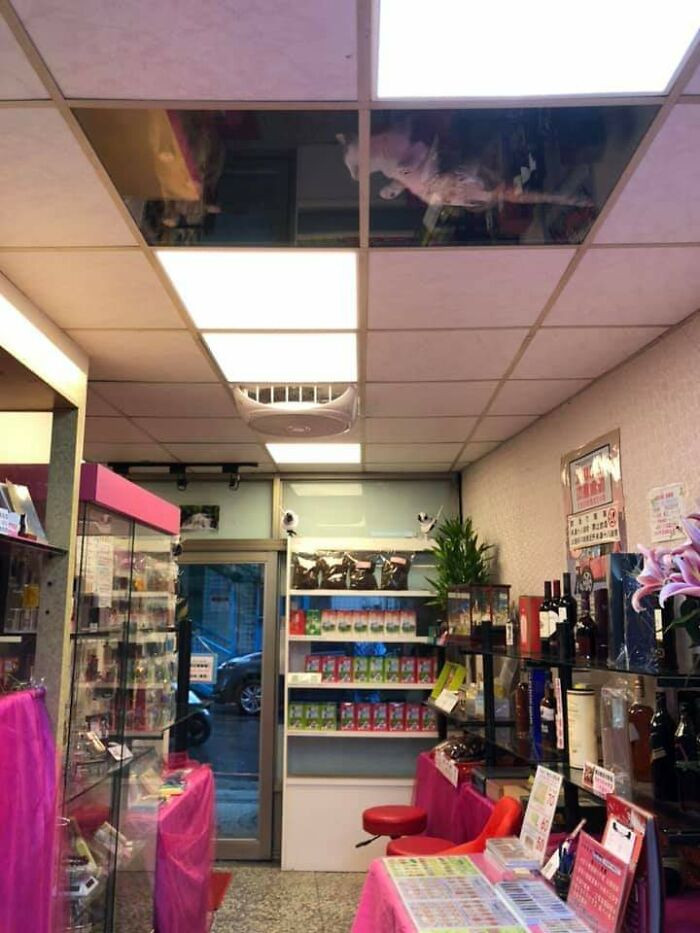 A Twitter user recently posted photos of his friend’s shop after he installed some glass ceiling tiles.