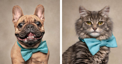 Photographer Captures Hilarious Facial Expressions From Animals After He Makes Funny Noises At Them