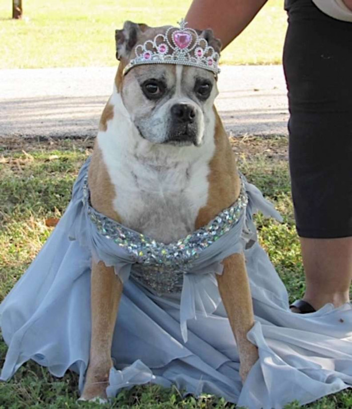 Of course, prom wouldn't be complete without a prom queen.