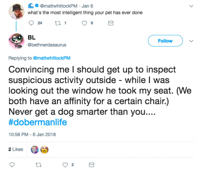 8. He cheated his owner out of his favorite seat