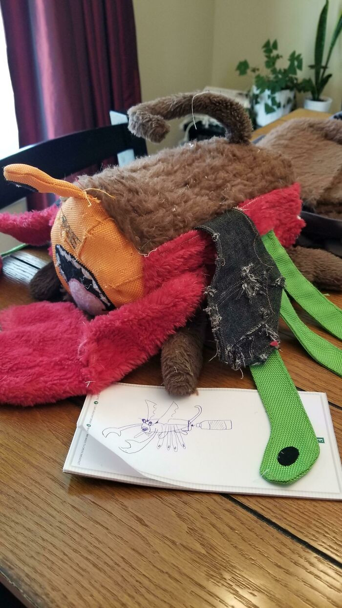 2. Your pets are bound to go through multiple toys, so why not save some to create a Franken-toy?