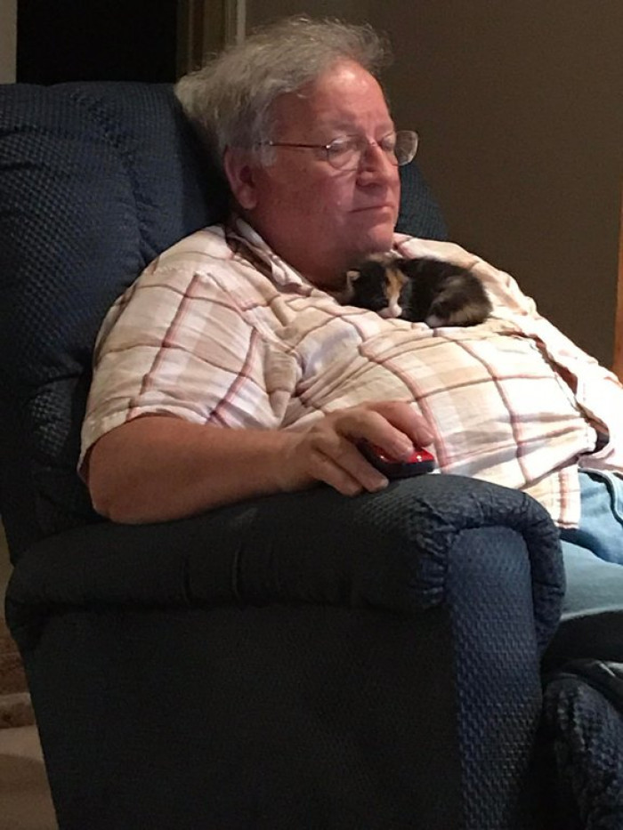 3. “My dad found a kitten who prefers sleeping like this crying outside a couple days ago.”